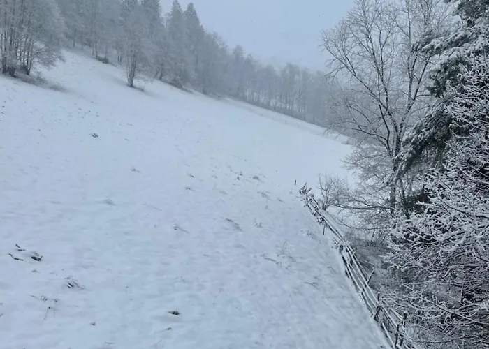 דירה Na Gorce Stasikowka